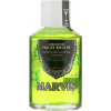 Marvis Concentrated Spearmint Mouthwash - Концентрат для порожнини рота "М'ята"