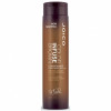 Joico Color Infuse&Balance Brown Conditioner - Коричневий відтіночний кондиціонер