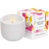 Mr.Scrubber Home Aroma Candle "Tropical Fruits" - Ароматична свічка