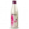 Salerm Shampoo Hi-Repair 01 - Шампунь для антивікового відновлення структури волосся