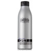 L’Oreal Professionnel Grey Shampoo - Відтіночний шампунь для світлого волосся
