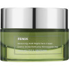 Beauty Spa Fenix Cream - Нічний кислотний оновлюючий крем для всіх типів шкіри обличчя