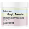 Hollyskin Calamine. Magic Powder - Очищуюча пудра для боротьби з чорними цятками і висипаннями