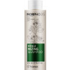 Framesi Morphosis Volumizing Shampoo - Шампунь для об'єму волосся