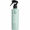 Bogenia Professional Centella Hair Spray - Термозахисний спрей для волосся з центелою