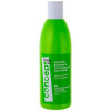 Concept Green Line Balance Shampoo For Sensitive Skin - Шампунь для чутливої шкіри голови