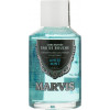 Marvis Anise Mint Concentrated Mouthwash - Концентрат для ротової порожнини "Аніс і м'ята