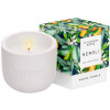 Mr.Scrubber Home Aroma Candle "Neroli" - Ароматична свічка