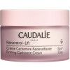 Caudalie Resveratrol Lift Firming Cashmere Cream - Зміцнюючий денний крем-кашемір