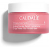 Caudalie Vinosource-Hydra Grape Water Gel Moisturizer - Зволожуючий крем-гель з виноградною водою