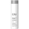 Ecru New York Rejuvenating Shampoo - Відновлюючий і омолоджуючий шампунь для волосся