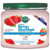 Hollywood Style Exfoliating Berries Mud Mask - Відлущує грязьова маска з ягодами