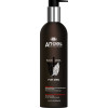 Angel Professional Black Angel Oil Control and Dandruff Shampoo - Шампунь від лупи для жирного волосся з екстрактом перили