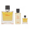 Hermes Terre D'Hermes - Подарунковий набір (EDT100 + EDTmini12.5 + S/G40)