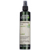 Dikson Every Green Eco Spray No Gas Strong - Екологічний лак-спрей без газу сильної фіксації