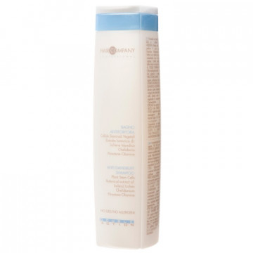 Купити - Hair Company Double Action Anti-Dandruff Shampoo - Шампунь проти лупи