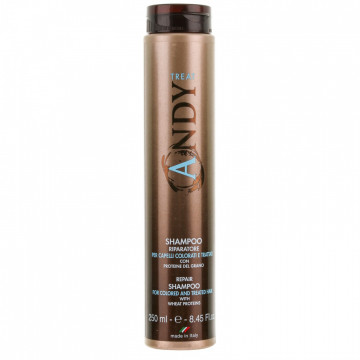 Купити - Dikson Andy Repair Shampoo 1000 мл - Шампунь для забарвленого, хімічно обробленого волосся