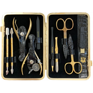 Купити - Zinger MSFE-804-G - Манікюрний набір