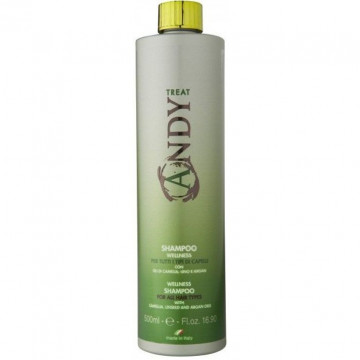 Купити - Dikson Andy Shampoo Wellness - Шампунь з вітамінами В, Е, D, бета-кератином і екстрактом сої для щоденного застосування