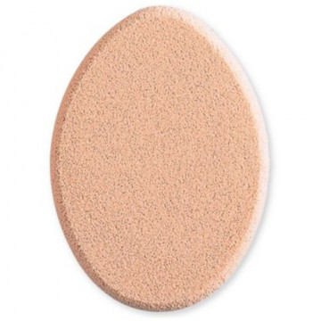 Купити - Shiseido Sponge Puff for Stick Foundation - Універсальний спонж