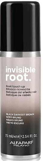 Alfaparf Invisible Root Spray - Тонувальний спрей
