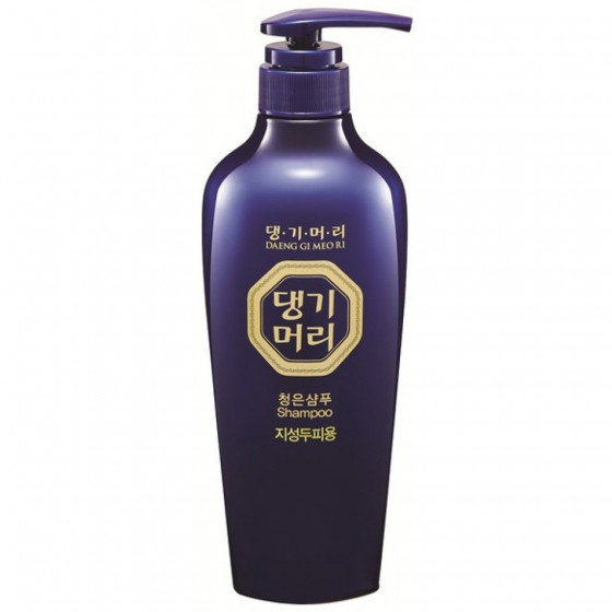 Daeng Gi Meo Ri Chungeun Shampoo For Oily Scalp - Тонізуючий шампунь для жирного волосся