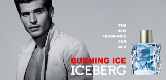 Iceberg Burning Ice - Туалетна вода (тестер) - 2