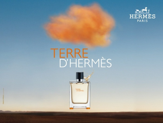 Hermes Terre D'Hermes - Туалетна вода (тестер) - 2