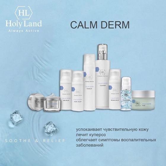 Holy Land Calm Derm Cleanser - Очищуючий засіб - 1