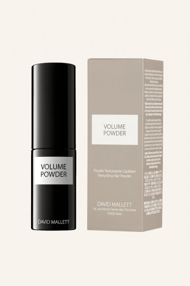 David Mallett Volume Hair Powder - Пудра для надання об'єму волоссю - 1