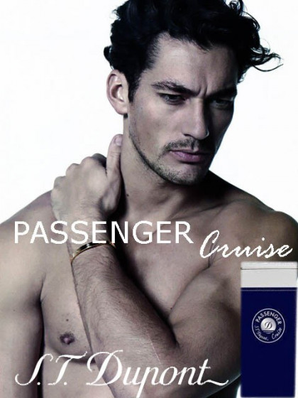 Dupont Passenger Cruise Pour Homme - Туалетна вода (тестер) - 1