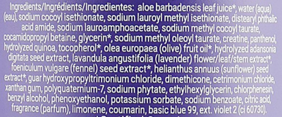 Loma Hair Care Violet Shampoo - Шампунь для світлого волосся - 1