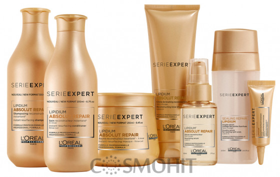 L’Oreal Professionnel Absolut Repair Lipidium Instant Reconstructing Masque 250 мл - Маска для відновлення пошкодженого волосся - 1