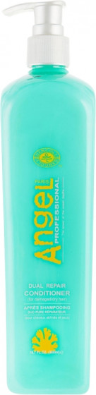 Angel Professional Dual Repair Conditioner - Кондиціонер подвійної дії для відновлення та живлення пошкодженого волосся