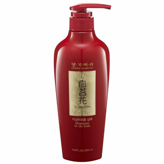 Daeng Gi Meo Ri Ja Dam Hwa Shampoo for Oily Scalp - Шампунь для жирної шкіри голови