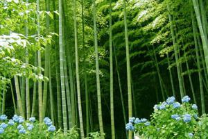 Домашній текстиль з бамбука