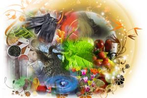 Класифікація ароматів