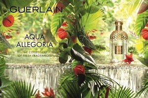 Aqua Allegoria Limon Verde - ароматне насолоду коктейлем кайпірінья від Guerlain (Герлен)