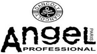 Angel Professional logo